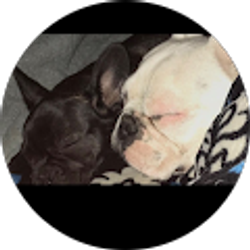 Profile photo of Mary Cruz