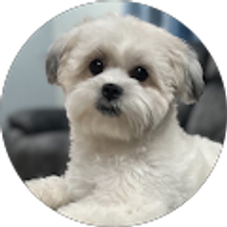 Profile photo of Jaime Caballero