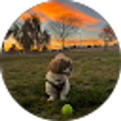 Profile photo of Daisy Figueroa