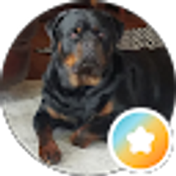 Profile photo of RDP
