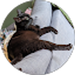 Profile photo of alisha shumway