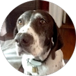 Profile photo of Rob Haversat