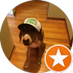 Profile photo of Daniel (Clyde)