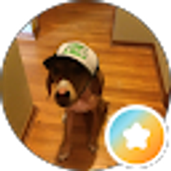Profile photo of Daniel (Clyde)