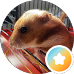 Profile photo of Denis Nazarchuk