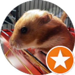 Profile photo of Denis Nazarchuk