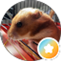 Profile photo of Denis Nazarchuk