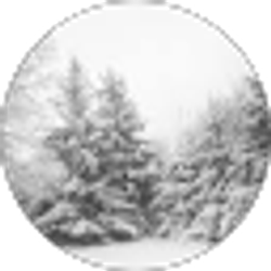 Profile photo of Kayla Meyer