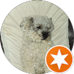 Profile photo of Dewayne Hailey