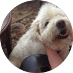 Profile photo of IKG Trinity