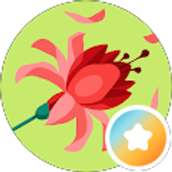 Profile photo of Jenny Correa