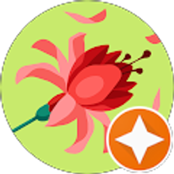 Profile photo of Jenny Correa