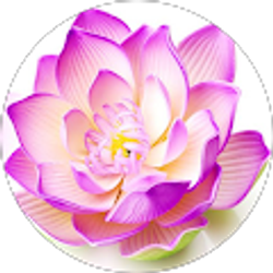 Profile photo of Sandra Thebaud