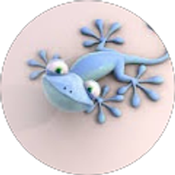 Profile photo of Terri
