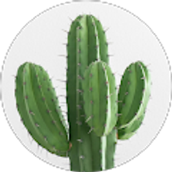 Profile photo of A D