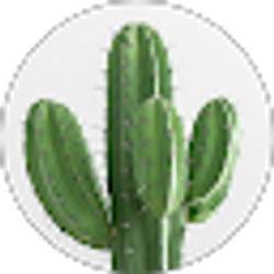 Profile photo of A D