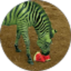Profile photo of Rory Ella