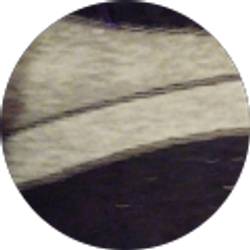 Profile photo of Unknown sender