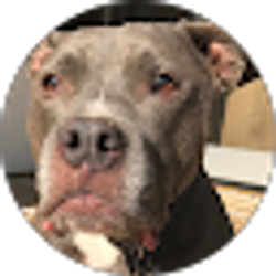Profile photo of Howard Drake
