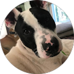 Profile photo of Dyna M