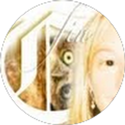 Profile photo of Cj Sarratt