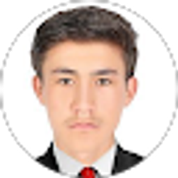 Profile photo of Mustafa Kazimi