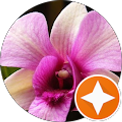 Profile photo of Karen Smith