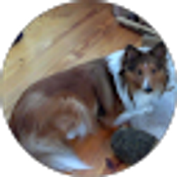 Profile photo of Pamela Couture