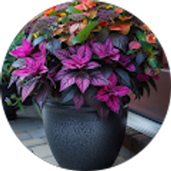 Profile photo of Janine Cook