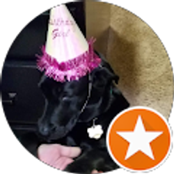 Profile photo of Lori Curtis