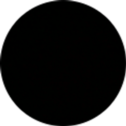 Profile photo of Sachien Ravi