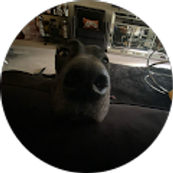 Profile photo of Deiana Williams Ozorio