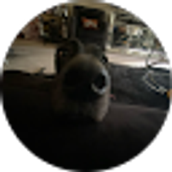 Profile photo of Deiana Williams Ozorio