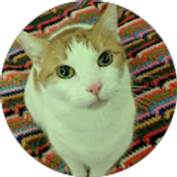 Profile photo of Erik Maas