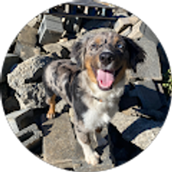 Profile photo of makayla gaddis