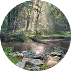 Profile photo of Kim Kantzer