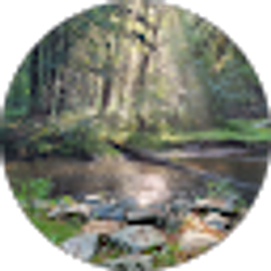 Profile photo of Kim Kantzer