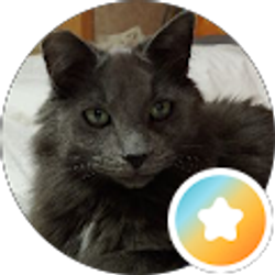 Profile photo of Mr. G