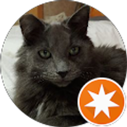 Profile photo of Mr. G