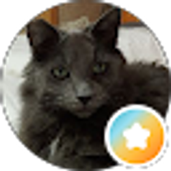 Profile photo of Mr. G