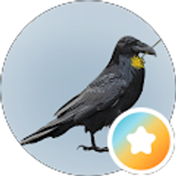 Profile photo of Elizabeth Douglass