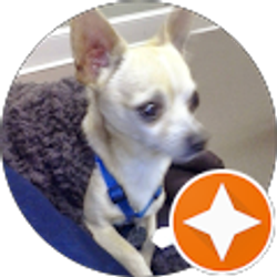 Profile photo of d “dibble” lee