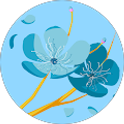 Profile photo of Maddie Van Brandt