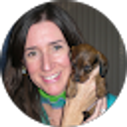 Profile photo of Julie Cory