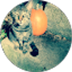 Profile photo of Mel Whitney