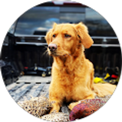 Profile photo of Logan Croker