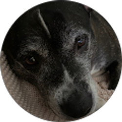 Profile photo of Jeff Valdez