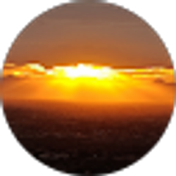 Profile photo of Coleen Polley