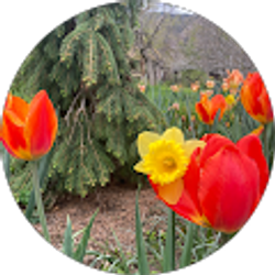 Profile photo of Dana Allen