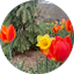 Profile photo of Dana Allen